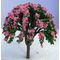 8cm Tree with Pink Flowers