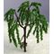 6cm Weeping Willow Tree