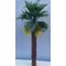 6cm Plastic Palm Tree