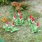 Primula Vialii - 15mm Height