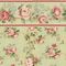 Nostalgic Rose Green Floral Wallpaper (267 X 413mm)