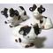 Cows (Price Each) (30 x 20 x 30)